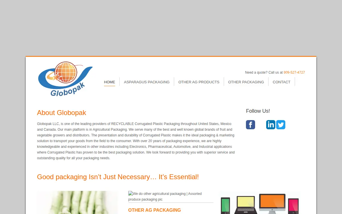 Homepage of Globopak, LLC