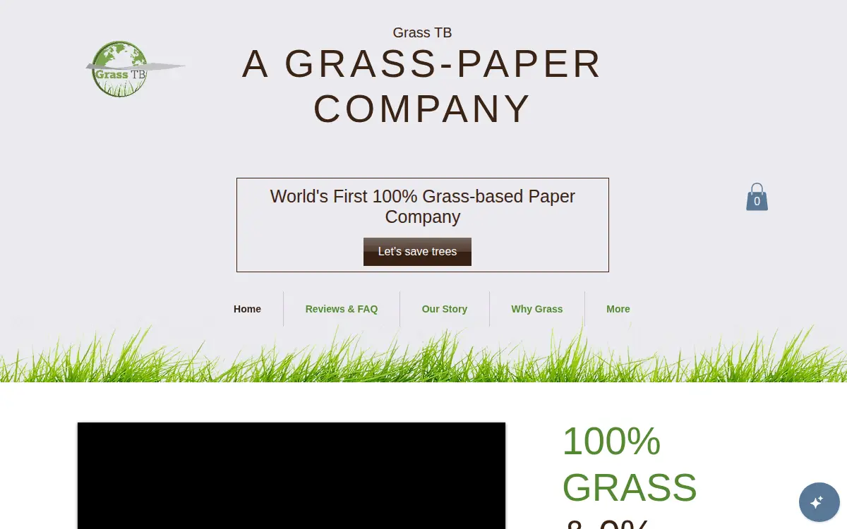 Homepage of Bao Tech INC