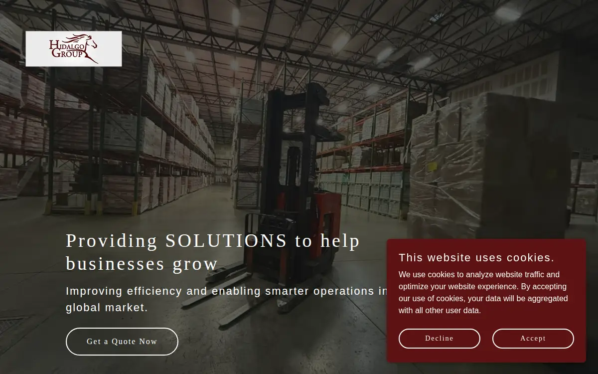 Homepage of Hidalgo Group, LLC