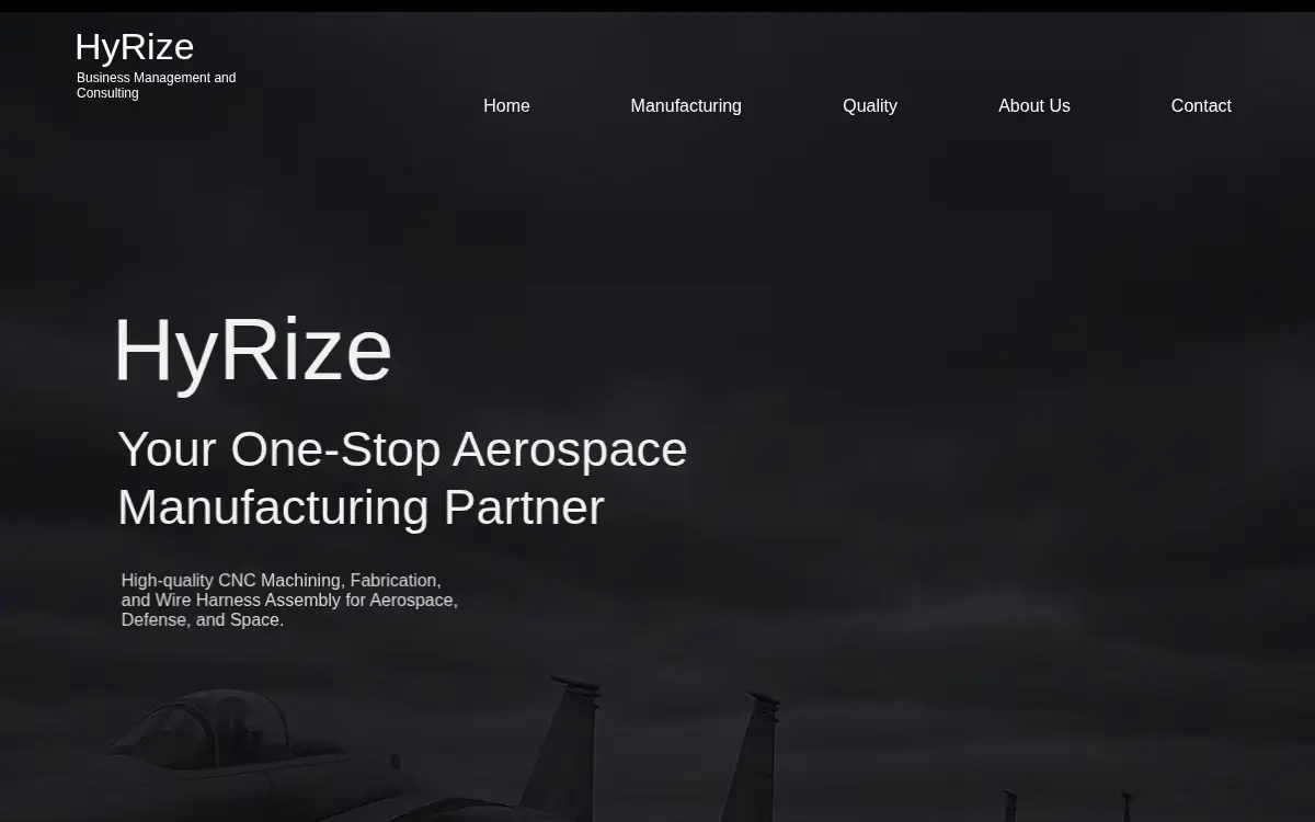 Homepage of Hyrize Business Management & Consulting, LLC