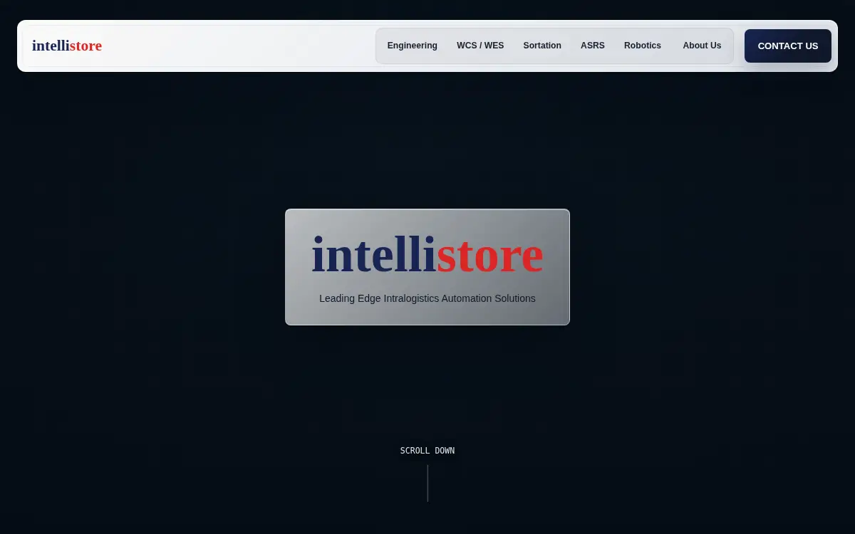 Homepage of Intellistore, INC.