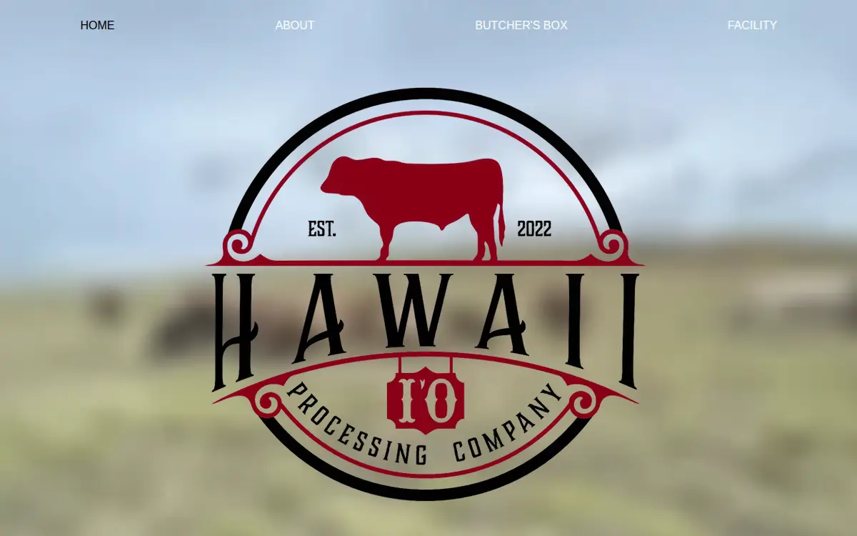 Homepage of Io Processing CO