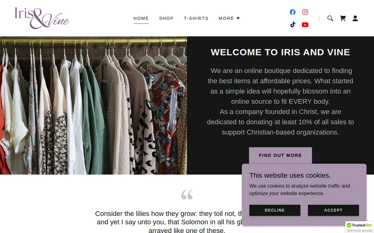 Homepage of Iris and Vine, LLC