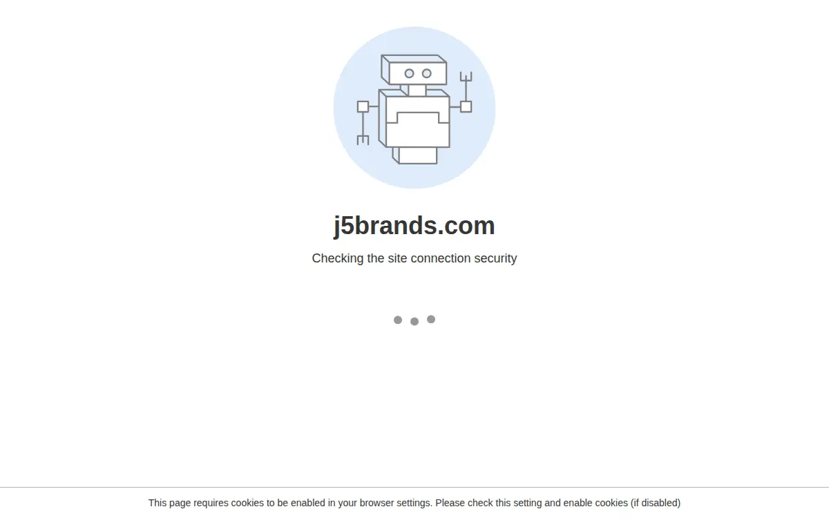 Homepage of J5 Brands INC
