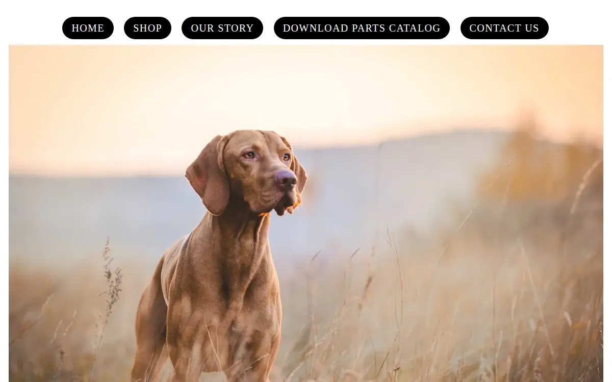 Homepage of D Jones LTD