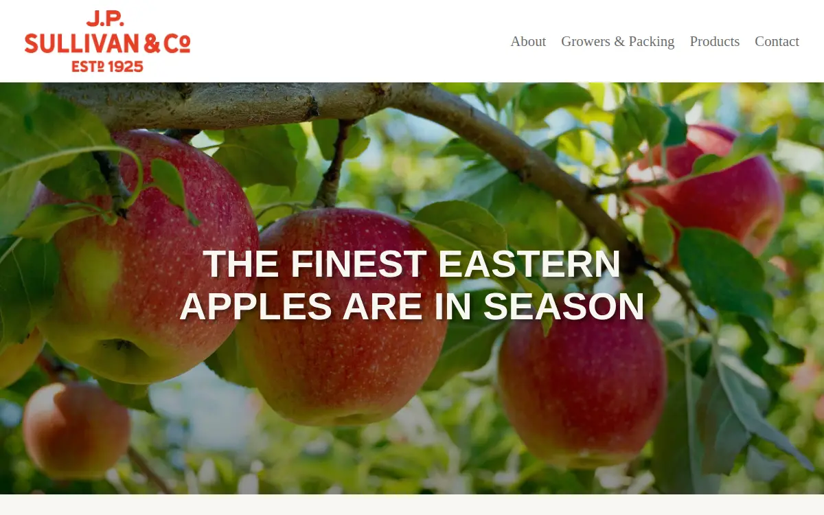 Homepage of Jp Sullivan & Co., LLC