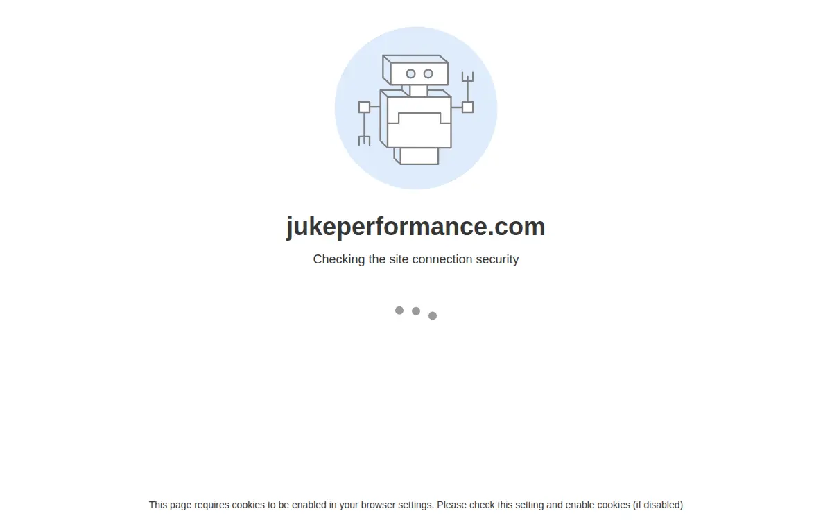 Homepage of Juke Performance, INC.