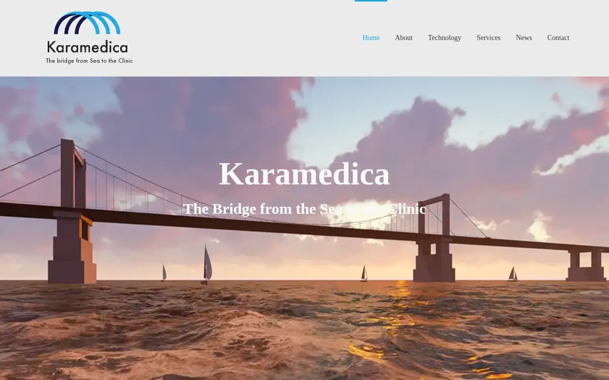 Homepage of Karamedica, INC