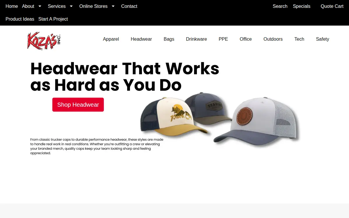 Homepage of Koza, INC.