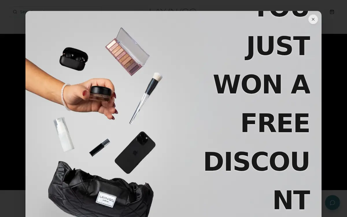 Homepage of Lay-n-go, LLC