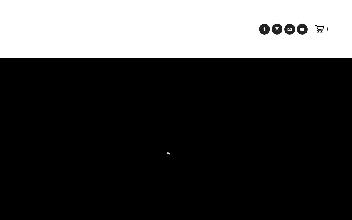 Homepage of Wright the Vision Enterprises LLC Leadaz Athletic Footwear