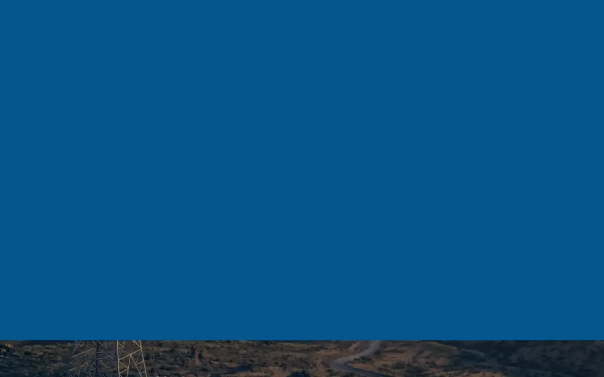 Homepage of Long Island Business Enterprise INC