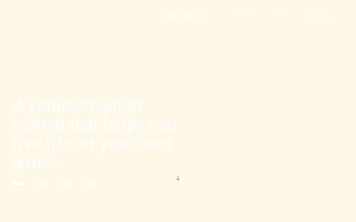 Homepage of Cathbuddy INC