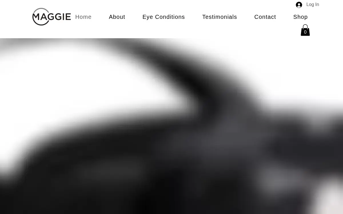 Homepage of Maggie Vision LLC