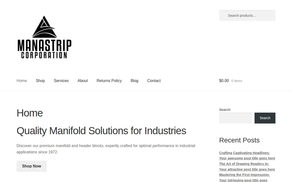 Homepage of Manastrip Mm Corporation