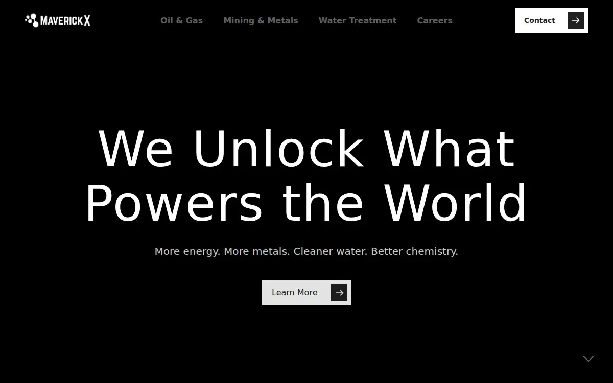 Homepage of Maverick Labs, INC.
