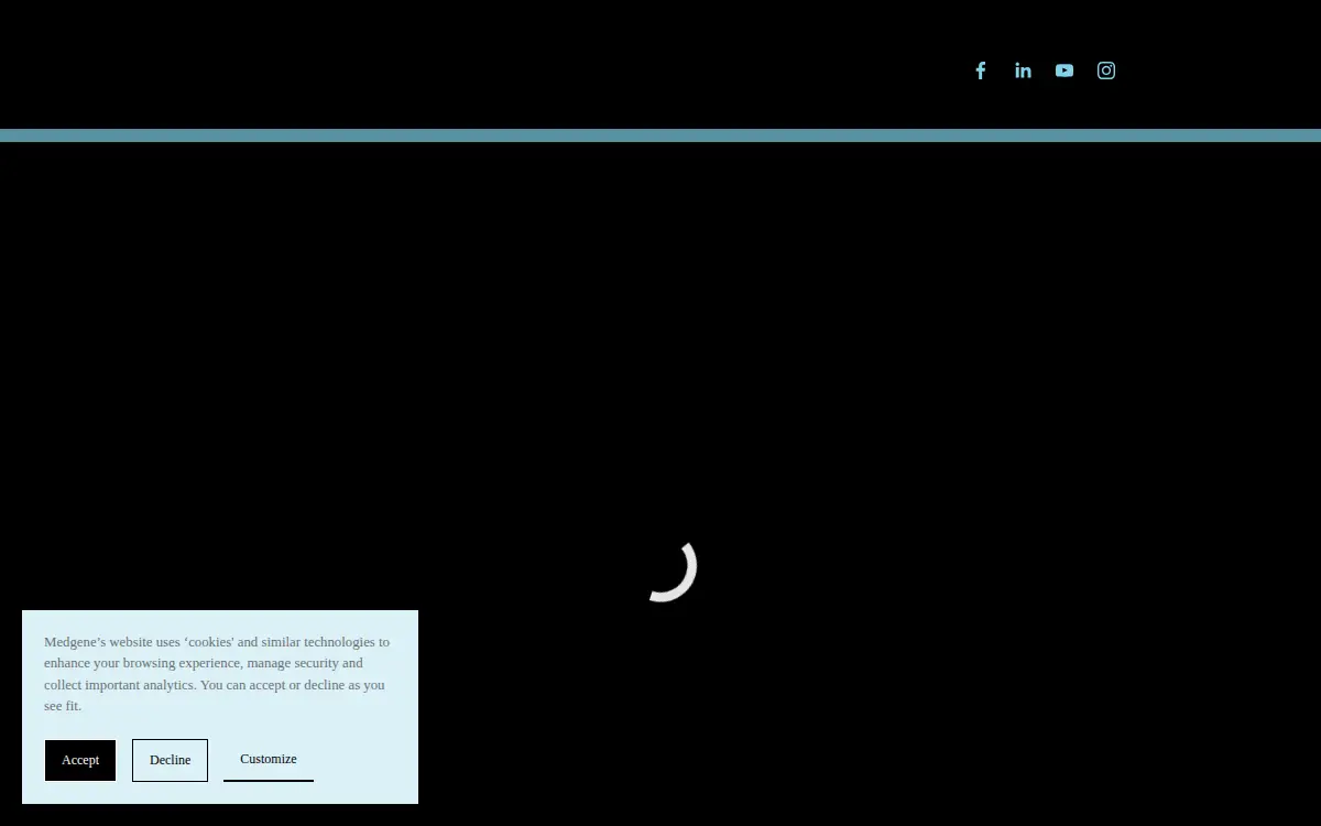 Homepage of Vst LLC