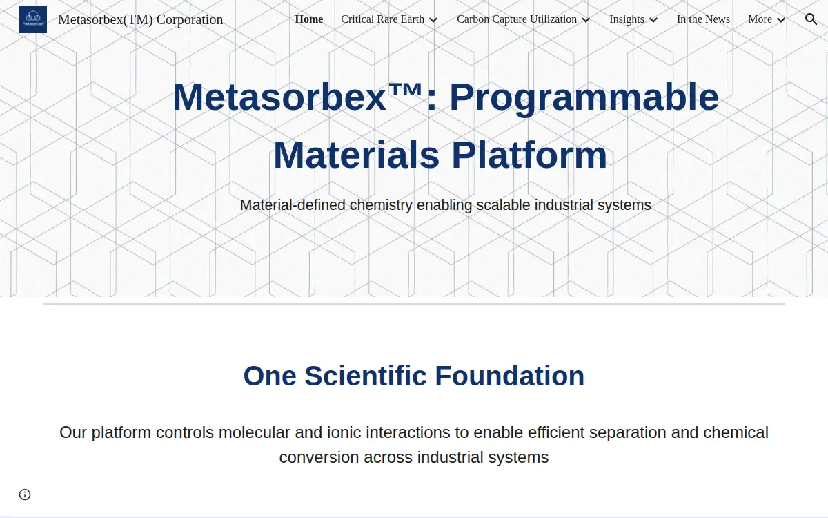 Homepage of Metasorbex Corporation
