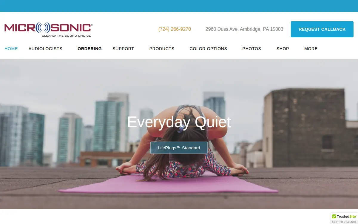 Homepage of Microsonic, INC