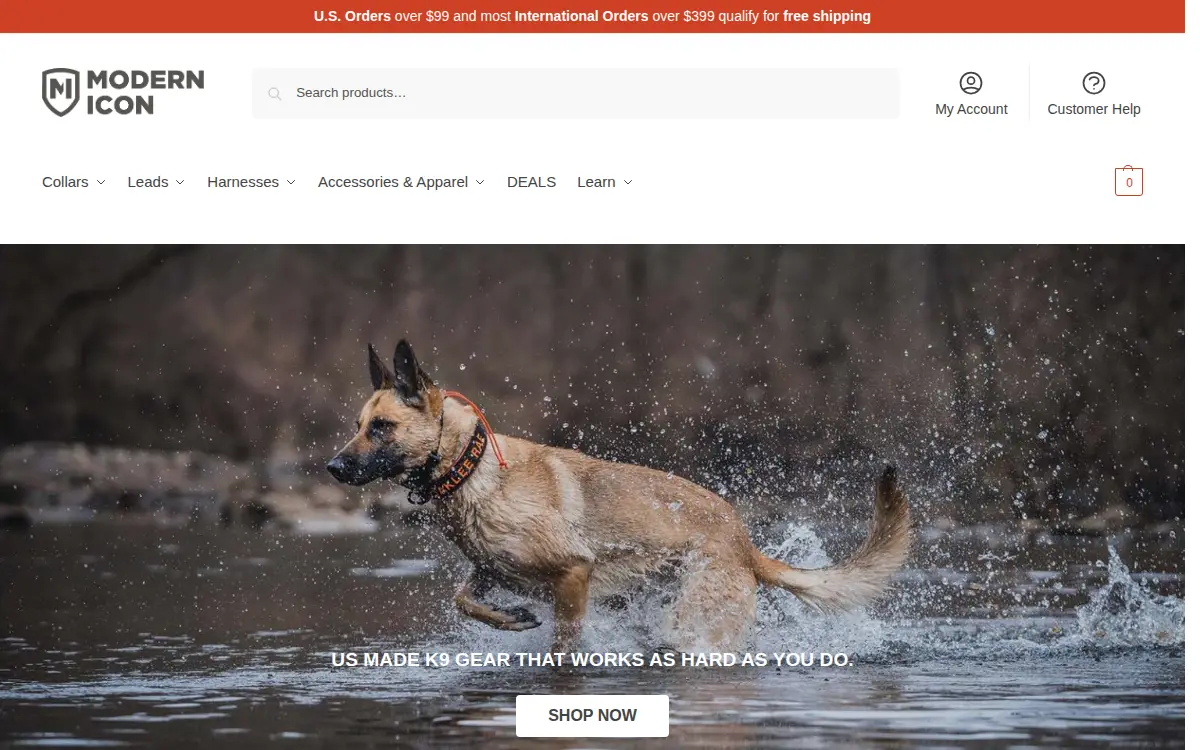 Homepage of Modern Icon LLC