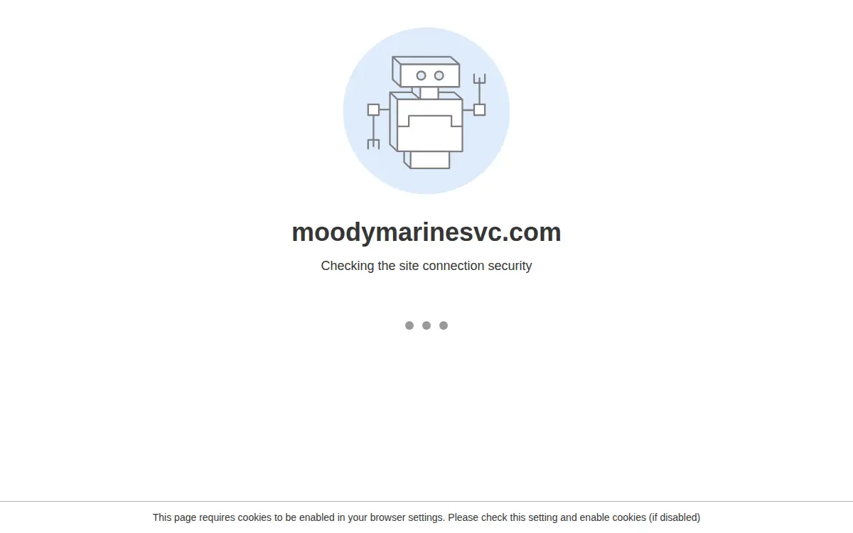 Homepage of Moody Marine Service LLC