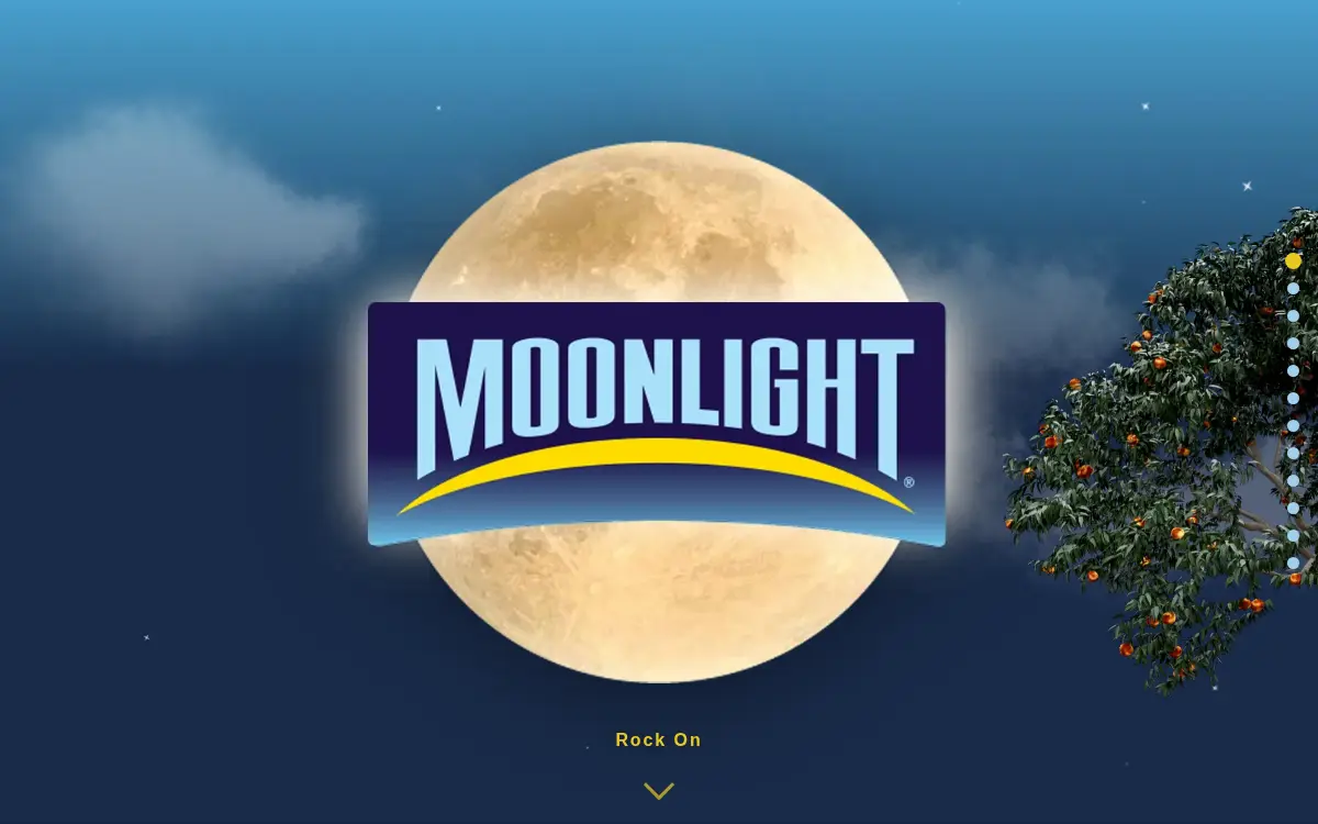 Homepage of Moonlight Sales Corporation