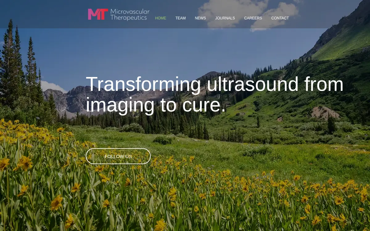 Homepage of Microvascular Therapeutics INC