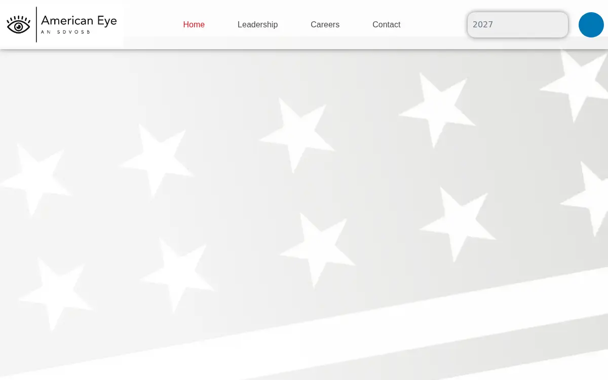Homepage of American Eye LLC