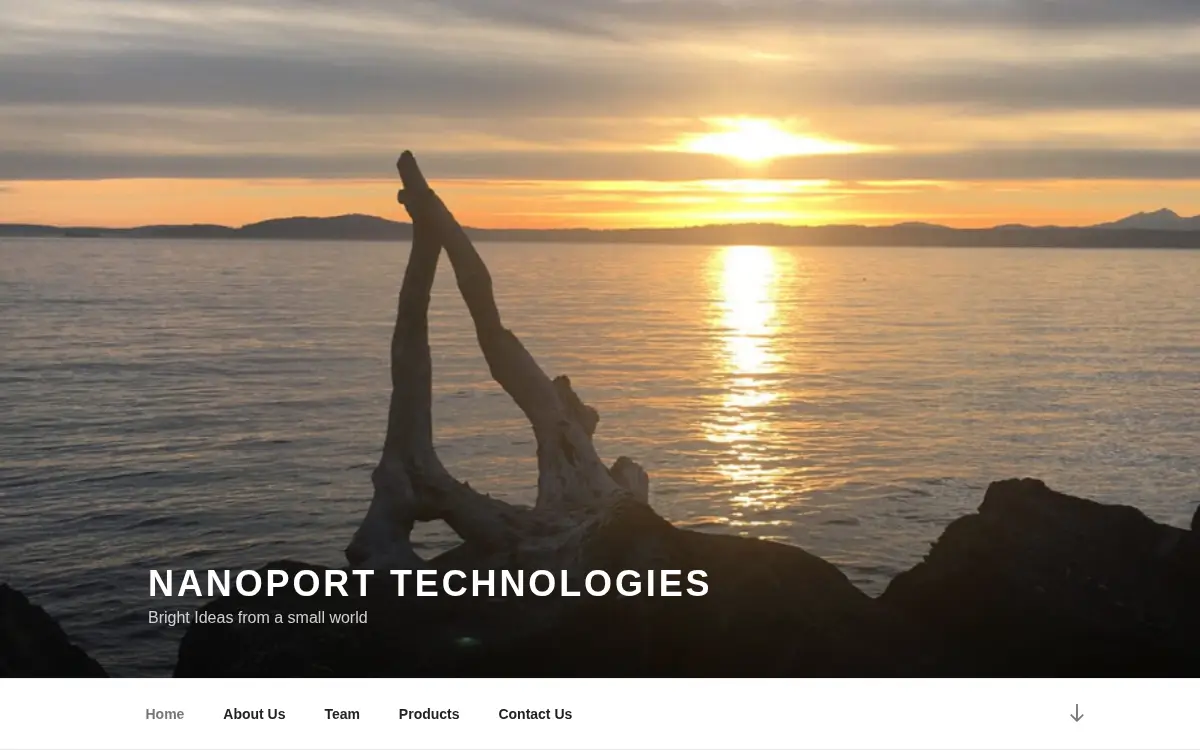 Homepage of Nanoport Technologies LLC