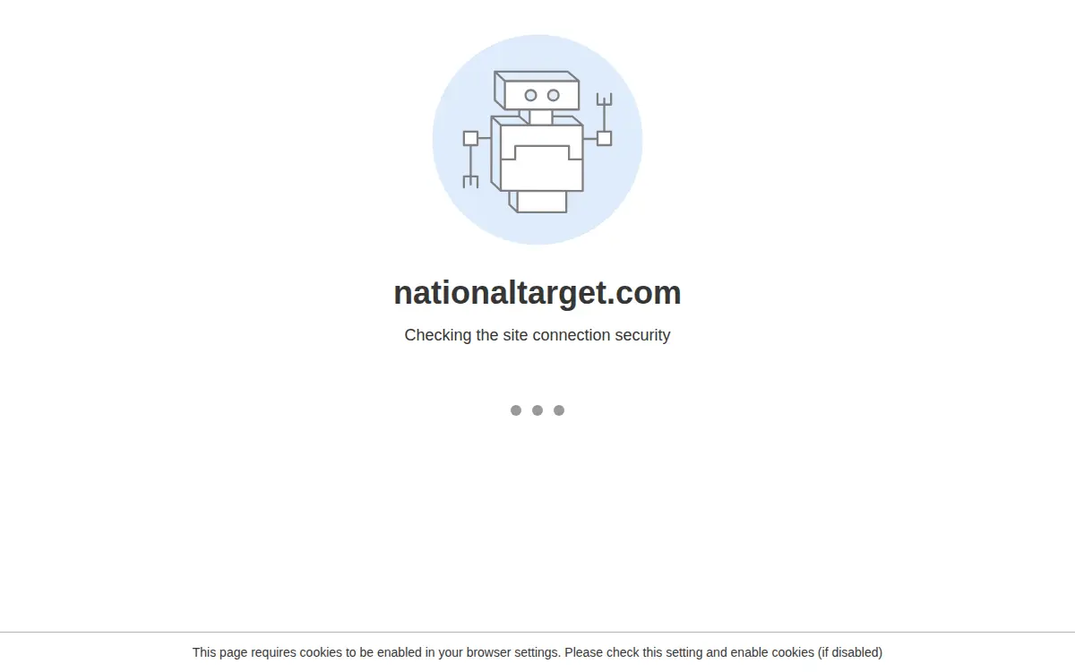 Homepage of National Target Company, INC.