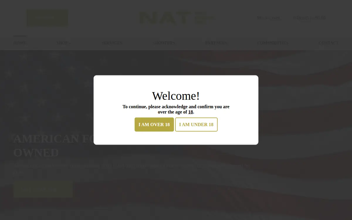 Homepage of North American Trade, LLC
