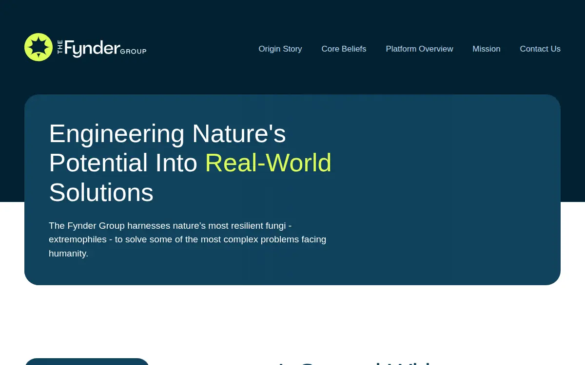 Homepage of The Fynder Group, INC