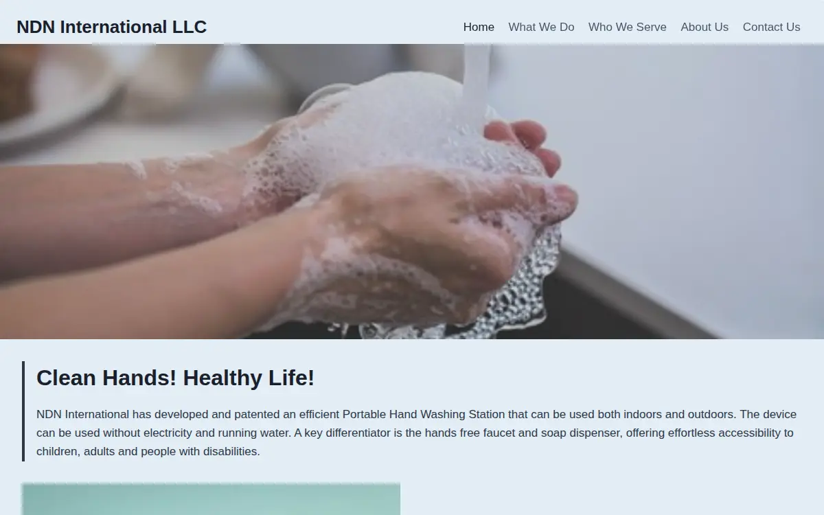 Homepage of Ndn International LLC