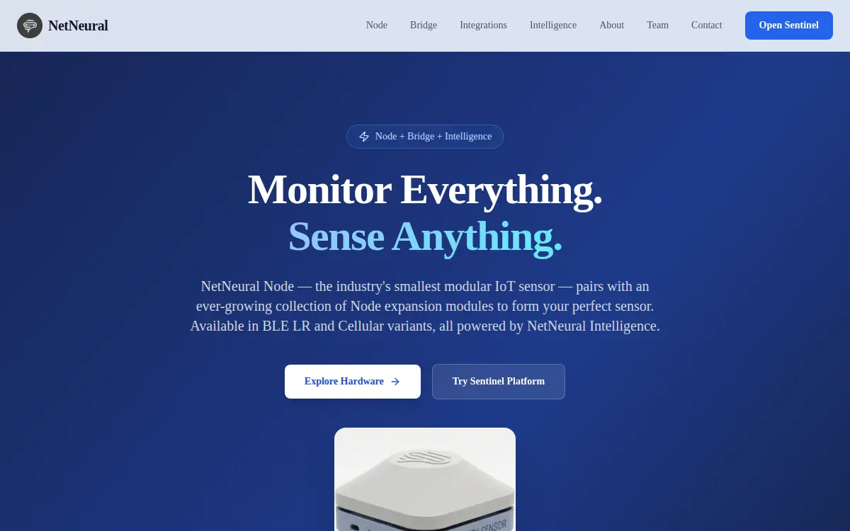 Homepage of Netneural INC