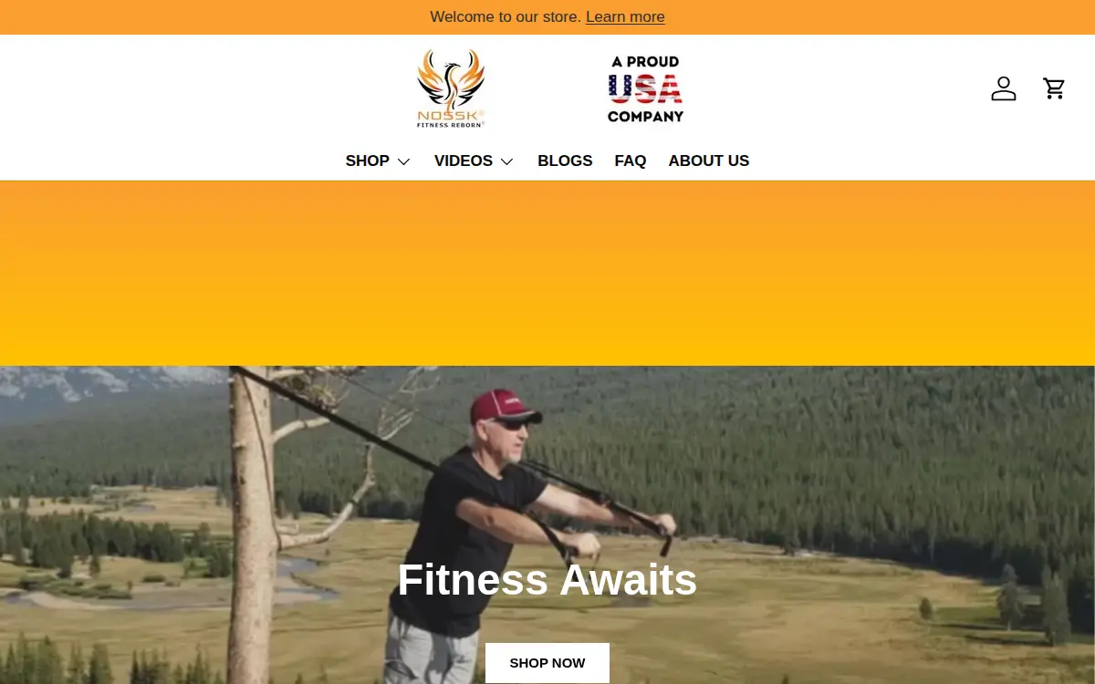 Homepage of Nossk INC.