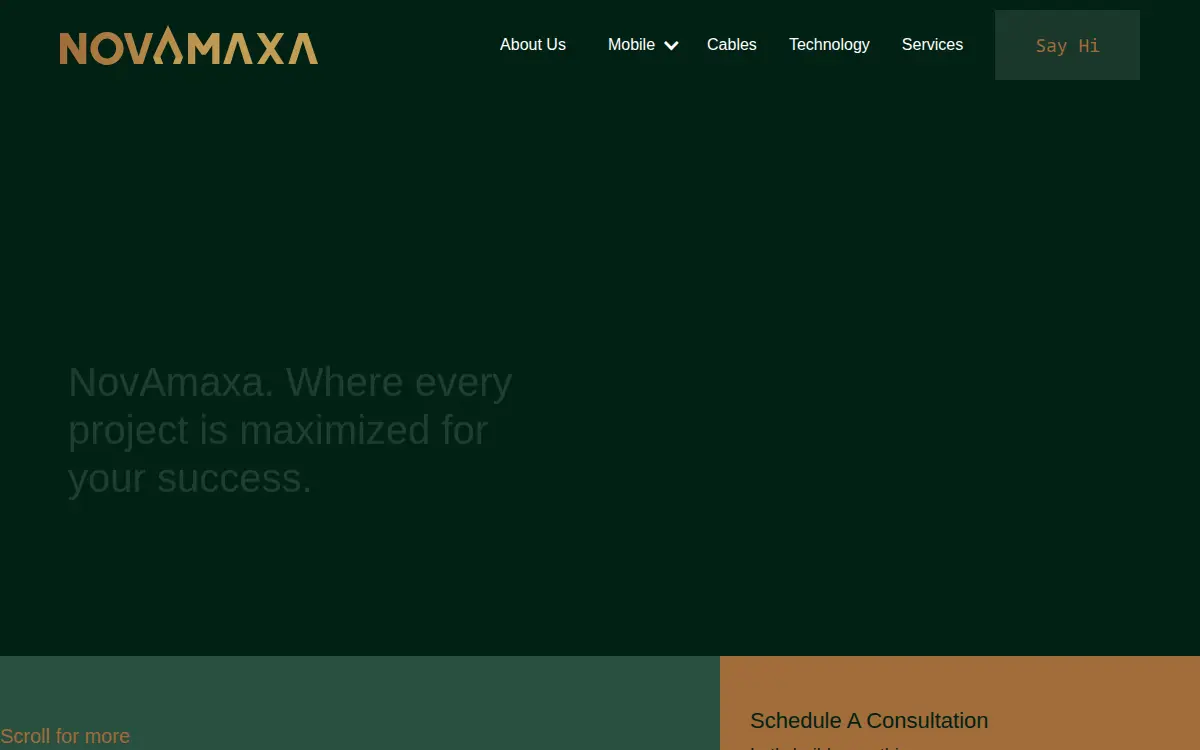 Homepage of Novamaxa LLC