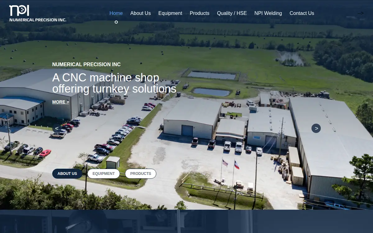 Homepage of Numerical Precision, INC.