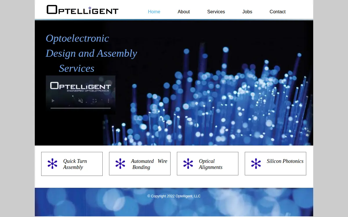 Homepage of Optelligent, LLC