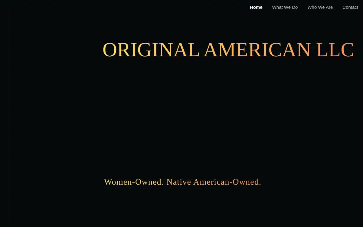 Homepage of Original American LLC
