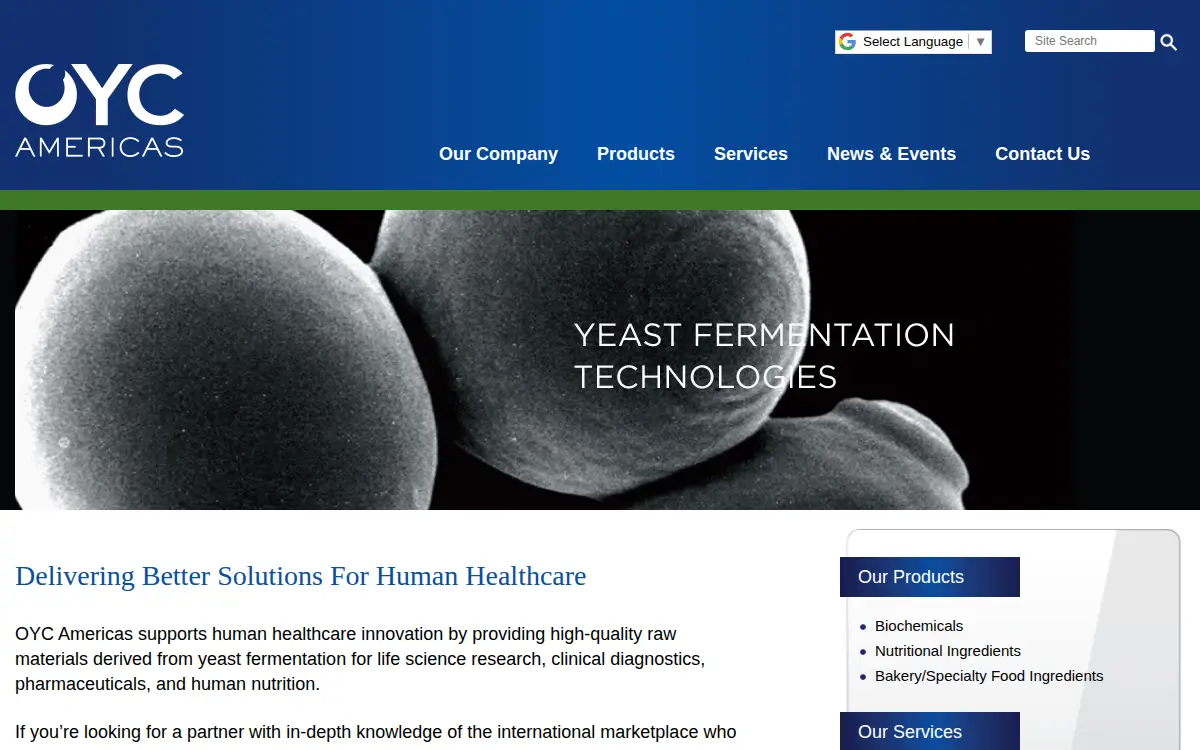 Homepage of Oyc Americas INC
