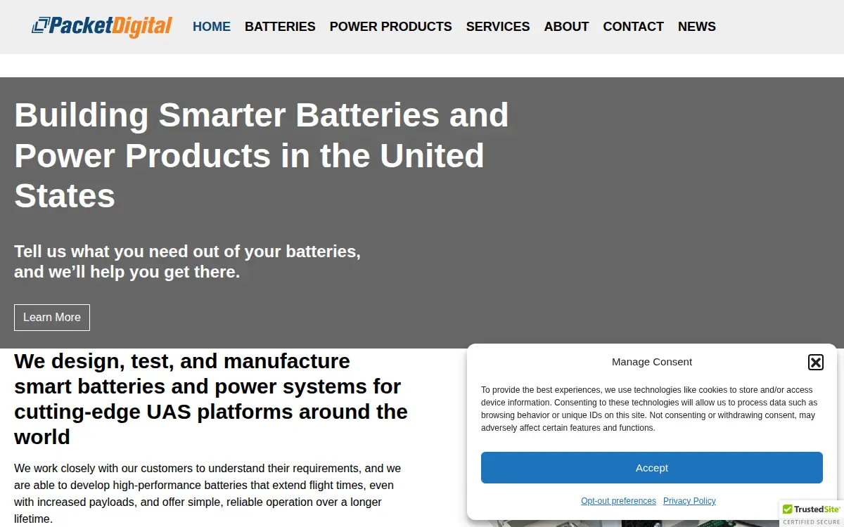 Homepage of Packet Digital LLC