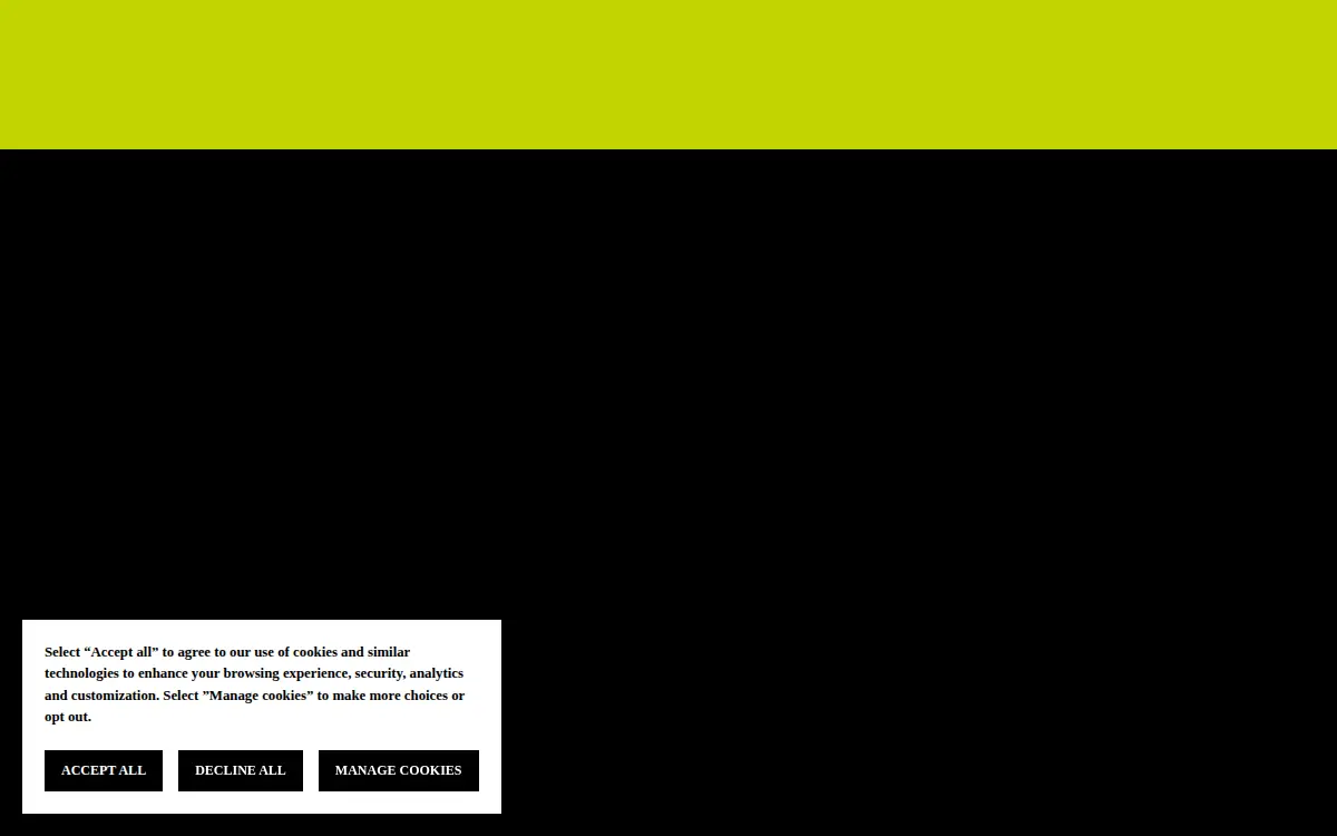 Homepage of Panther Laces Corporation