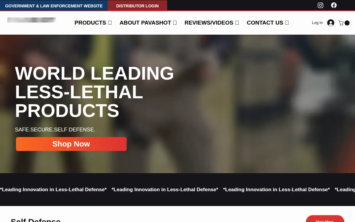 Homepage of Pavashot, INC