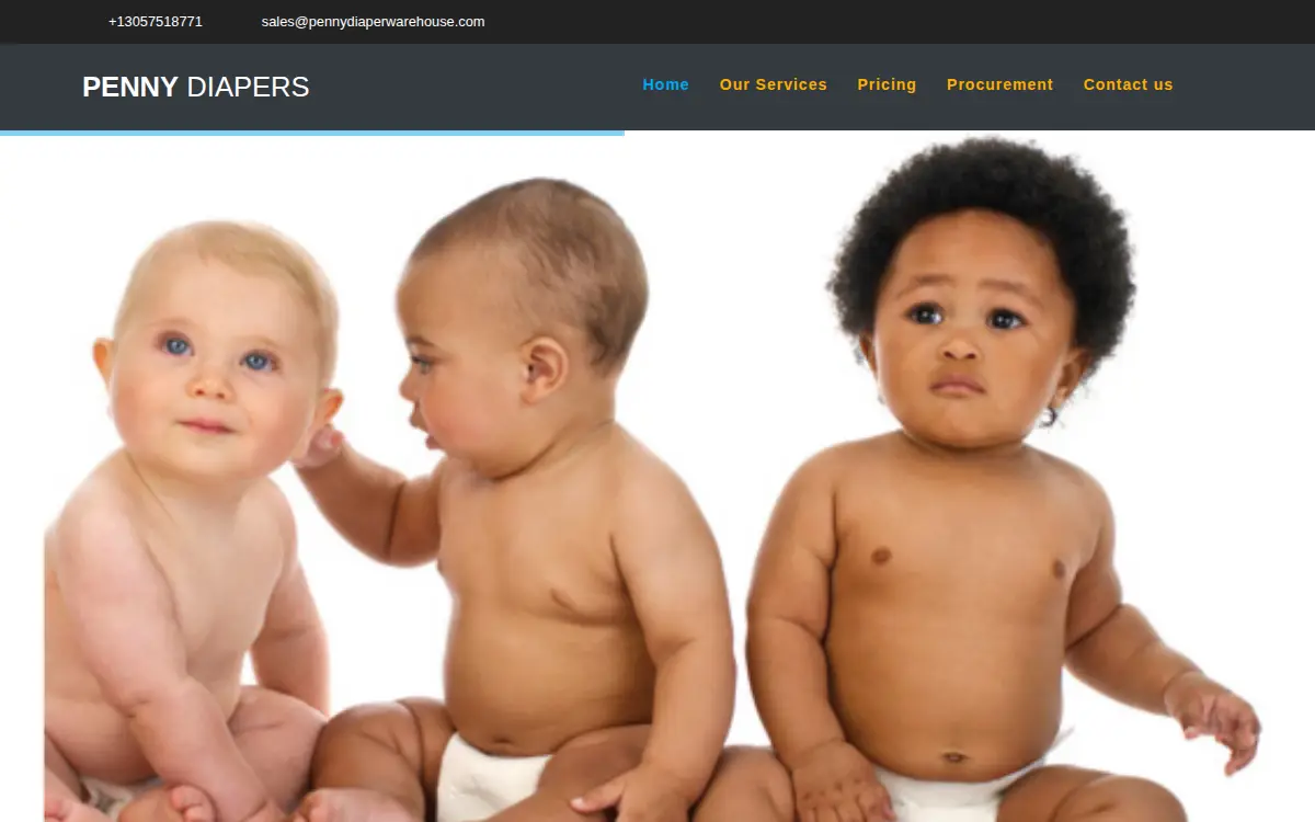 Homepage of Pennydiapers U.s.a. INC