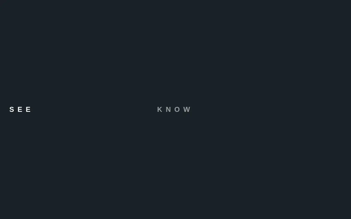 Homepage of Pesa INC.