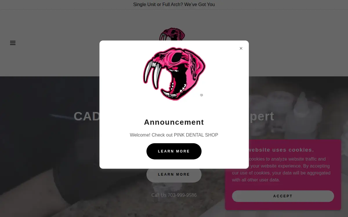 Homepage of Pink Dental Laboratory, LLC