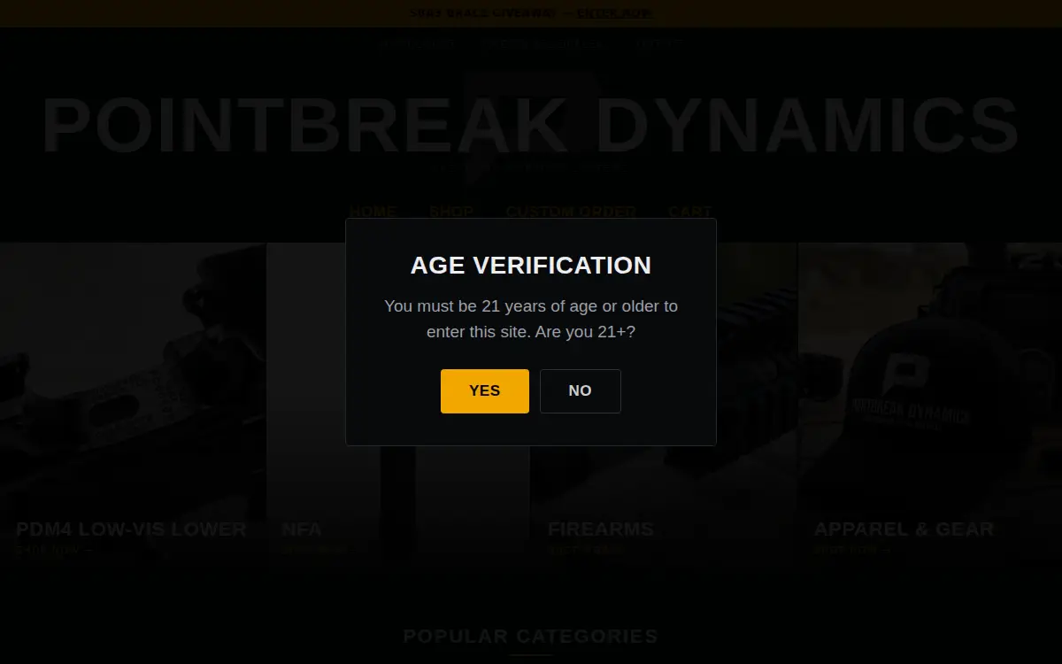Homepage of Pointbreak Dynamics, LLC
