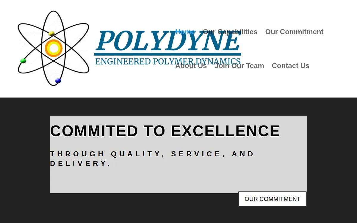 Homepage of Polydyne, LLC