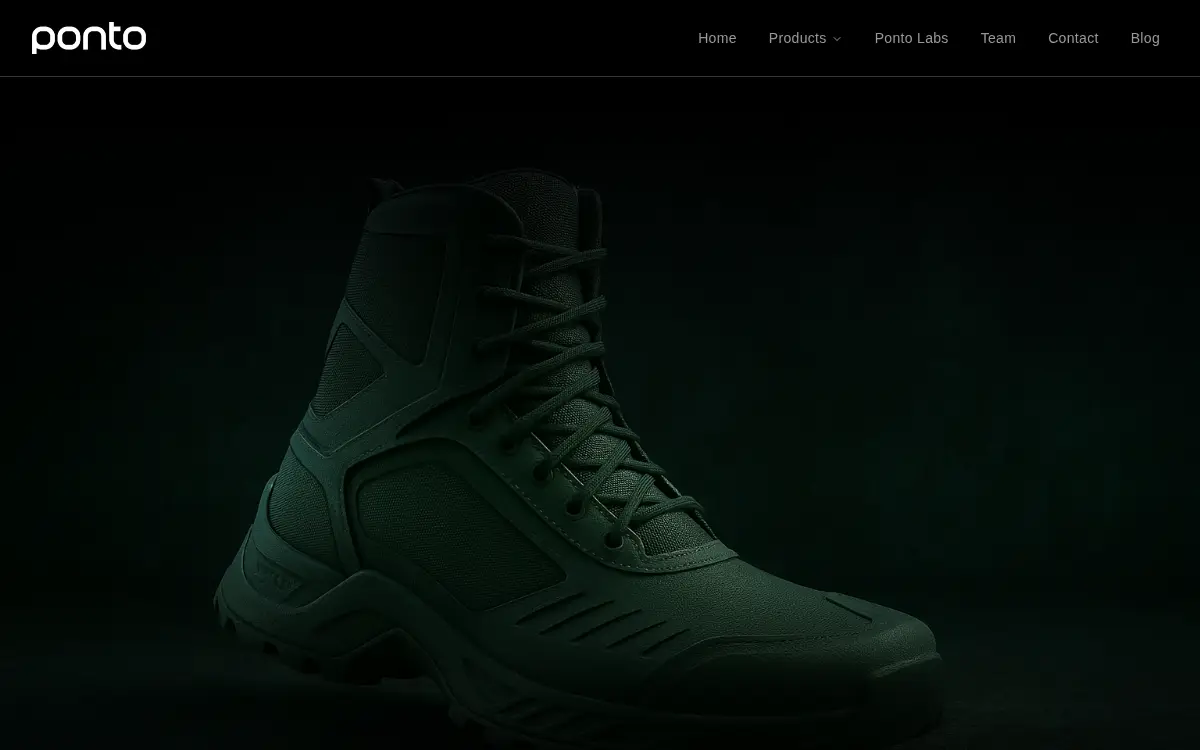 Homepage of Ponto INC