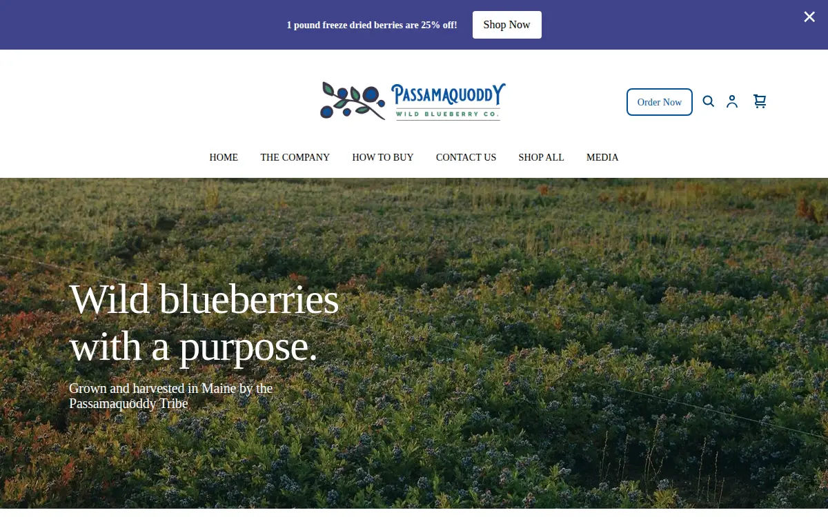 Homepage of Passamaquoddy Wild Blueberry CO